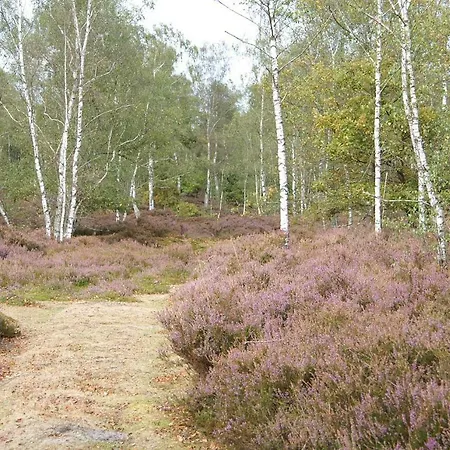 Vakantiehuis Le Des Bruyeres *