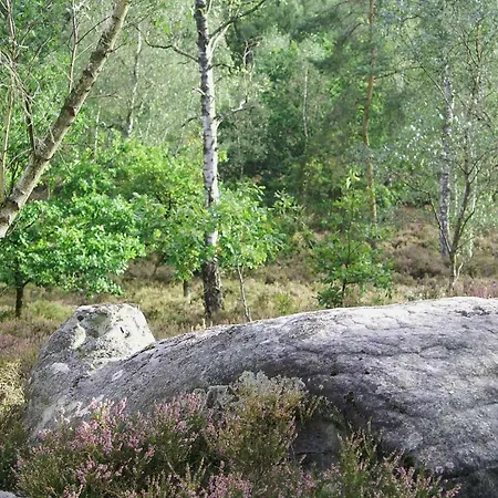 Le Des Bruyeres * Mont-Notre-Dame