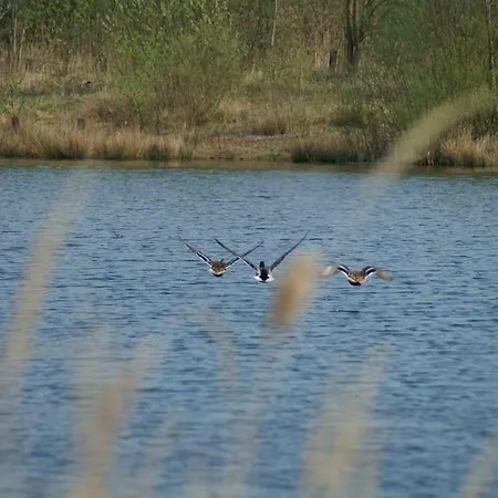 Le Des Bruyeres * Mont-Notre-Dame