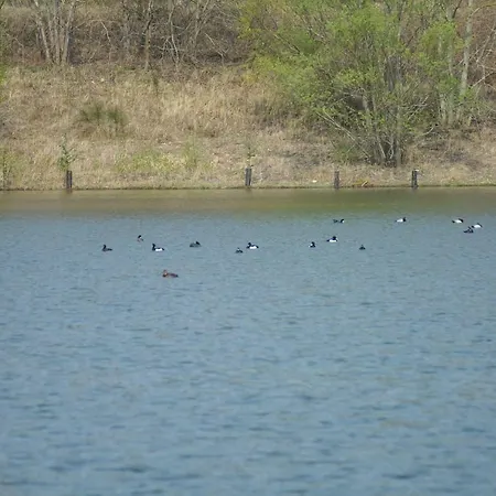 Vakantiehuis Le Des Bruyeres Mont-Notre-Dame