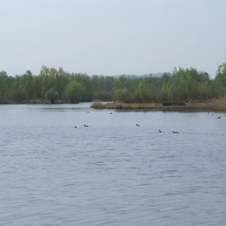 Le Des Bruyeres